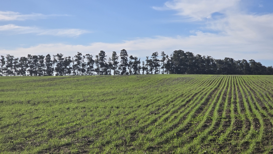 Commercial Property for Sale in Paarl Rural Western Cape